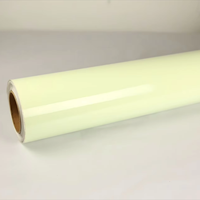 Lianxing Night Dark in Glow Tape Vinilo imprimible PVC Película fotoluminiscente Vinilo luminoso para señales de advertencia