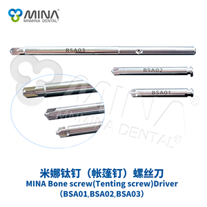 MNMINA <span class=keywords><strong>DENTAL</strong></span> MINA GBR sistema 1.0 alta qualità in acciaio inox/titanio/PTFE GBR Kit di fissaggio vite sistema di Tack per orale dentale - Product Image 6