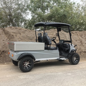 Vehículo utilitario eléctrico de 2 plazas de alto rendimiento, motor de 60V 3.5kW con caja de carga para varios terrenos y cargas - Product Image 4