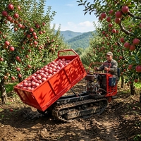 Mini-Raupendumper 500kg Hydraulischer Raupentransporter Gummiketten-Schubkarre Direktverkauf vom Hersteller