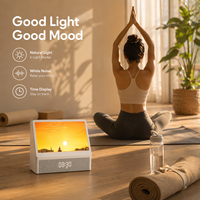 Réveil Lumineux Simulateur d'Aube et de Coucher du Soleil avec Haut-Parleur, Lampe de Chevet à Luminosité Progressive pour Chambre à Coucher