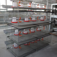 Nouveau poulailler automatique en acier galvanisé de type H Linchuan Hebei pour l'élevage de poulets, capacité 80 kg, durée de vie 15-20 ans, garantie 1 an