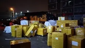 전문 운송인화물 에이전트 DDP 중국 러시아 모스크바 카자흐스탄 직송 제품 배송