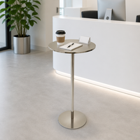Table d'appoint moderne et élégante à piétement fin, en métal argenté brossé, haut de gamme, pour le salon, décoration intérieure
