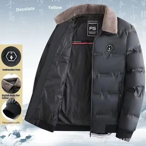 Veste matelassée en coton pour hommes, chaude, col montant, automne hiver, nouveau, décontracté, simple, confortable, imperméable, cuir épais - Product Image 2
