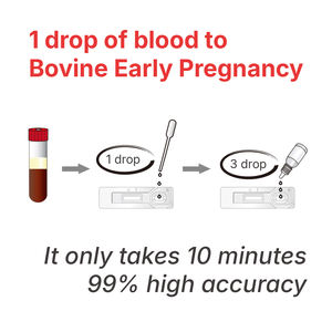 Bovins bovins vache grossesse précoce <span class=keywords><strong>kit</strong></span> de <span class=keywords><strong>test</strong></span> rapide bande carte en papier pour la détection de sang sérum vache bovin <span class=keywords><strong>kit</strong></span> de <span class=keywords><strong>test</strong></span> de grossesse - Product Image 2