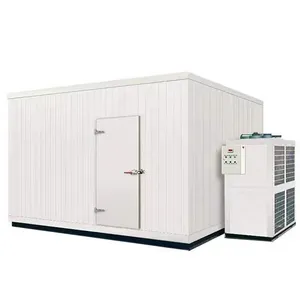 Sala de perfuração de baixa temperatura modular, aço inoxidável, grande, temperatura, para carne, peixe, sorvete, loja fria