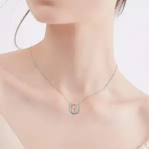 Бижутерия Lucky Horse кубического циркония 925 стерлингового серебра крест Подкова кулон ожерелье
