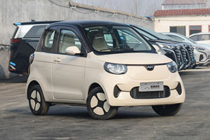 ヘンリーXiaohuFEVファミリー電気自動車HongruixiaohuEVカーRHDピュアエレクトリックXiaohu2シーターミニカーリトルタイガー - Product Image 3