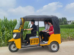 Tricycle adulte Tuk Tuk <span class=keywords><strong>Taxi</strong></span> à carrosserie fermée, cargo motorisé, 4 places - Product Image 2