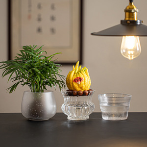 Wuxitang Glass Hydroponic Planter For Desktop Indoor Green Plant Buddha's Hand Citron Display <b>Container</b> Jianshui Style - Product Image 2