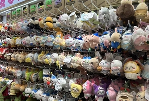 Nouveaux porte-clés en peluche CP Toys, jouets en peluche de haute qualité de 12 cm (4 pouces) pour machine à griffes - Product Image 2