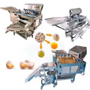 Machine à casser les œufs, <span class=keywords><strong>prix</strong></span> de la machine à briser les œufs, briseur d'œufs liquides pasteurisés - Product Image 2