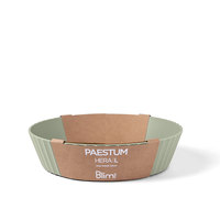 Groothandel Verpakt In Karton Mat Groen Grote 25Cm Polypropyleen Voedsel Salade Soep Serveerschaal Container
