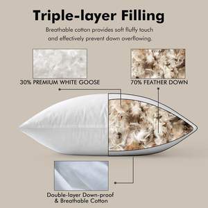 MIULEE moderne 22x22 oreillers en plumes <span class=keywords><strong>d</strong></span>'<span class=keywords><strong>oie</strong></span> 100% coton ensemble de couverture soutien du cou doux <span class=keywords><strong>moelleux</strong></span> inserts <span class=keywords><strong>d</strong></span>écoratifs canapé-lit salon - Product Image 2