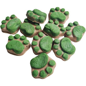 Eğitim ödül kompozit kalıp dondurularak kurutulmuş bisküvi-özel etiket OEM, gevrek diş çiğnemek, köpek ve kedi toplu tedarik - Product Image 5