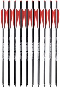 Mới về 12 mũi tên nỏ carbon 10 lõi, 16-20 inch, kèm cánh 4 inch, dùng săn bắn - Product Image 6