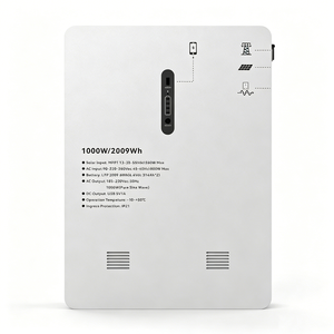 Sistema de Almacenamiento de Energía Solar Todo en Uno ASCEND de 1000W y 2009Wh, Montado en Pared, con Batería LiFePO4 para Emergencias en el Hogar - Product Image 2