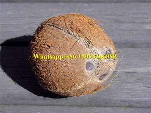 เครื่องปอกเปลือกมะพร้าวดีไซน์ใหม่ปี <span class=keywords><strong>2021</strong></span>/เครื่องปอกเปลือกมะพร้าวแบบตั้งโต๊ะ/เครื่องปอกเปลือกมะพร้าวราคาประหยัด - Product Image 5