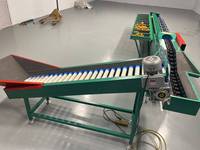 Commerciële Mango Sorteermachine, Oranje- en Citroensorteermachine, 10 gradaties fruit sorteermachine