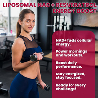 Complément Liquide Liposomal NAD+ 1200mg Marque Blanche OEM, Gouttes Végétaliennes Sans Sucre avec Resvératrol pour l'Énergie Cellulaire