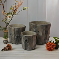 Pot de fleur fait à la main en forme d'arbre de style classique Kit de jardinière succulente en ciment pour jardin extérieur créatif Nouveau Design Carton