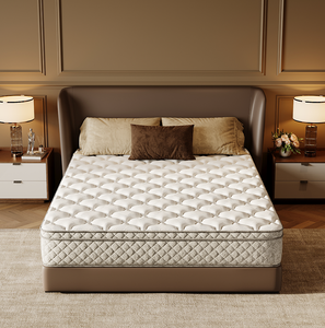 Queen Size 12-Inch Hybrid <b>Mattress</b> in a Box with Memory Foam and Pocket <b>Spring</b> for Pressure Relief Modern Bedroom Design - Product Image 1