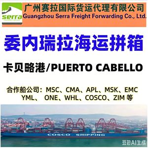 Envío LCL desde China a Brasil: Santos, Vitória, Río de Janeiro, Puerto de Guangzhou - Product Image 4