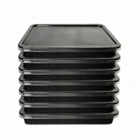 Contenants Premium de 240 g : Spécialement conçus pour des portions de viande standardisées, répondant aux besoins des marchés de détail haut de gamme et des restaurants.