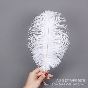 ダチョウの羽帽子工芸品パーティーと家庭装飾用カラフル20-25 cm - Product Image 6