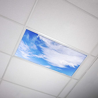 Panneaux de plafond lumineux décoratifs pour salle de bal, effet ciel étoilé, 600x1200, étoiles lumineuses, avions, lumières de plafond