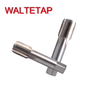 Tarauds à rainure droite pour tuyaux HSSE PS RP PF G PT RC BSPT <span class=keywords><strong>BSP</strong></span> <span class=keywords><strong>1</strong></span>/16 <span class=keywords><strong>1</strong></span>/<span class=keywords><strong>8</strong></span> <span class=keywords><strong>1</strong></span>/4 3/<span class=keywords><strong>8</strong></span> <span class=keywords><strong>1</strong></span>/2 3/4 <span class=keywords><strong>1</strong></span>-11 <span class=keywords><strong>Taraud</strong></span> à filetage pour machine - Product Image 5