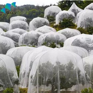 Flowers Protect 40 malla de plástico blanco Anti <span class=keywords><strong>áfido</strong></span>s Mosca blanca Red de insectos - Product Image 3
