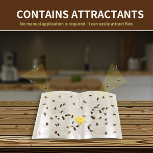 Trappole Adesive per Mosche in Cartone, Confezione da 10, Cattura Insetti Usa <span class=keywords><strong>e</strong></span> Getta per Casa, Cucina <span class=keywords><strong>e</strong></span> Ristorante - Product Image 3