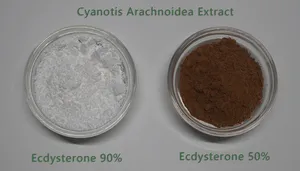 <span class=keywords><strong>Cyanotis</strong></span> <span class=keywords><strong>arachnoides</strong></span> P. Chiết xuất ecdysterone-Độ tinh khiết cao bột thực vật cho mỹ phẩm thiên nhiên - Product Image 2