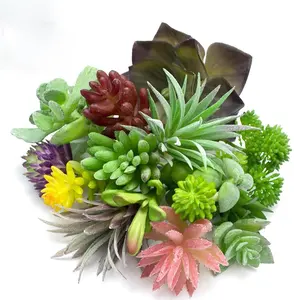 도매 미니 한국어 즙이 많은 가짜 냄비 선인장 succulents 16PCS 세트 인공 식물 즙이 많은 식물 선인장