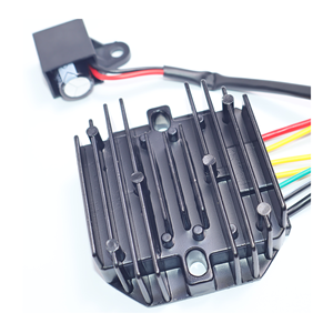 Nhà Máy Bán buôn bajaj 225cc ba bánh bánh bộ phận động cơ chỉnh lưu điều chỉnh cho xe máy hệ thống điện - Product Image 2