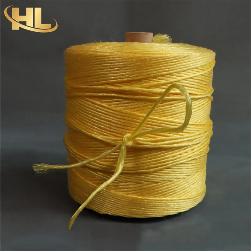 OEM Wholesale UV Treated Agro Greenhouse Horticulture Vegetable Fruit Plastic PP String for Packing