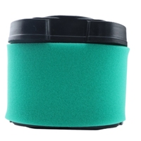 Filtre à air de haute qualité pour tondeuse autoportée MIU11515 MIU11517 792105 pour Briggs Stratton 35 D150 D155 D160 D170 E160