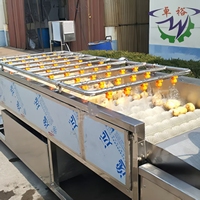 Laveuse industrielle à rouleaux pour fruits et légumes – Machine de lavage et de nettoyage efficace pour pommes de terre, taro, carottes, radis, gingembre