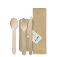 Vente directe d'usine Cuillère en bois de bouleau biodégradable Couverts en bois jetables en vrac