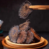 Tranches de Cistanche Rou Cong Rong Séchées, Produits Herbacés Chinois Bruts, Herbe de Cistanche en Tranches de Haute Qualité, Épice pour la Fertilité Masculine et la Santé des Reins