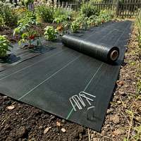 Toile de paillage agricole en PP tissé anti-mauvaises herbes pour le contrôle des adventices et la paillage des sols