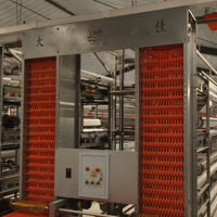 Les cages à poules de type H sont adaptées à l'élevage de flocks de plus de 10 000 poules pondeuses.