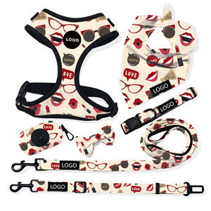 Kit de promenade pour chien tendance personnalisé avec harnais, laisse, nœud papillon, ensemble de sacs à déchets - Product Image 5