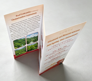 Brochure personnalisée à 3 volets, catalogue à prix abordable, <span class=keywords><strong>d</strong></span>épliant pour petites entreprises, impression sur carton pour prospectus - Product Image 2