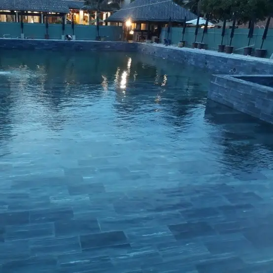 Fertiger Fliesen polnisch Bluestone asiatische Silberkörner Pool geschliffen Günstige Schwimmbad Vietnam Bullnose Pierre Bleue Naturelle