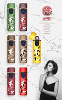 Allume-Cigare Électronique USB Type Pipe, Briquet Électronique USB