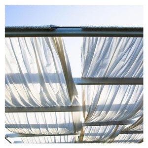 <span class=keywords><strong>Malla</strong></span> de red <span class=keywords><strong>antigranizo</strong></span> HDPE personalizada de fábrica protección de manzano - Product Image 1