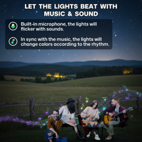 Luz Inteligente para Aleros de 1 Pie, 1 LED, ABS, IP67, Impermeable, Blanco Cálido, Control por Aplicación, DIY RGB+IC, Regulable, para Decoración Navideña